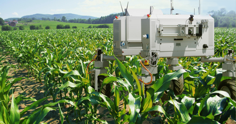 Climate Change and Gene Editing Are Spurring a Tech Boom in Agriculture 13 Climate Change and Gene Editing Are Spurring a Tech Boom in Agriculture